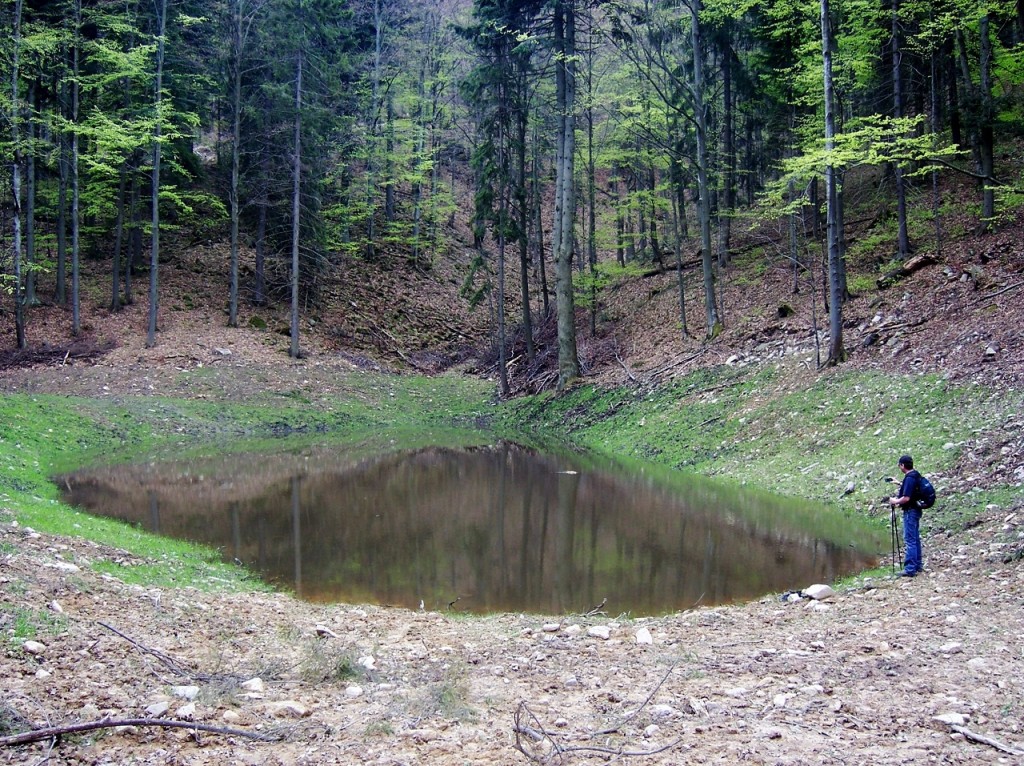 Fot. 1 Jeden ze sztucznych zbiorników retencyjnych w lasach Beskidu Sądeckiego.
